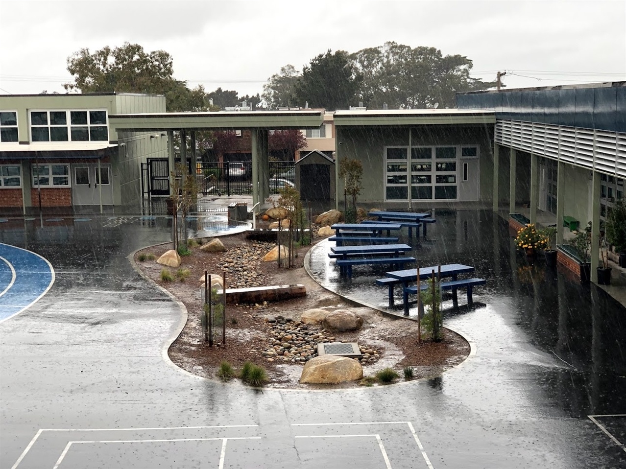 school rain garden